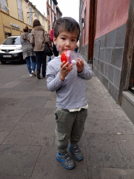 Max with a toy ball at the Calle Herradores street