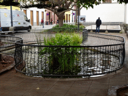 Pond at the north side of the Plaza de los Remedios square