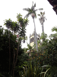 Tower and trees at the West Inner Square of the Former Convent of St. Augustine