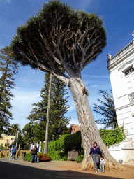 Miaomiao and Max with a tree at the Plaza de la Junta de Canarias square