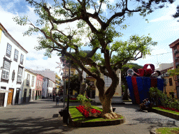 The north side of the Plaza de la Concepción square