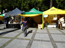 Miaomiao and Max with market stalls at the Plaza del Adelantado square