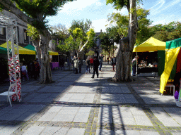 Market stalls at the Plaza del Adelantado square