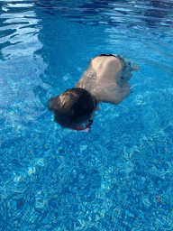 Max with goggles at the outdoor swimming pool of the Grand Hotel Park