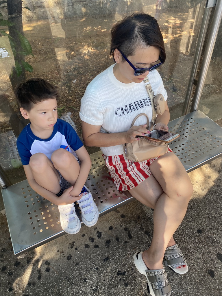 Miaomiao and Max at the bus stop at the Ulica Kralja Tomislava street