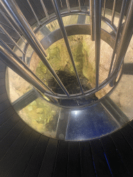 Glass floor at the small cave at the Cave Bar More