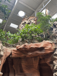 Rocks and plants in the lobby of the Poema del Mar Aquarium