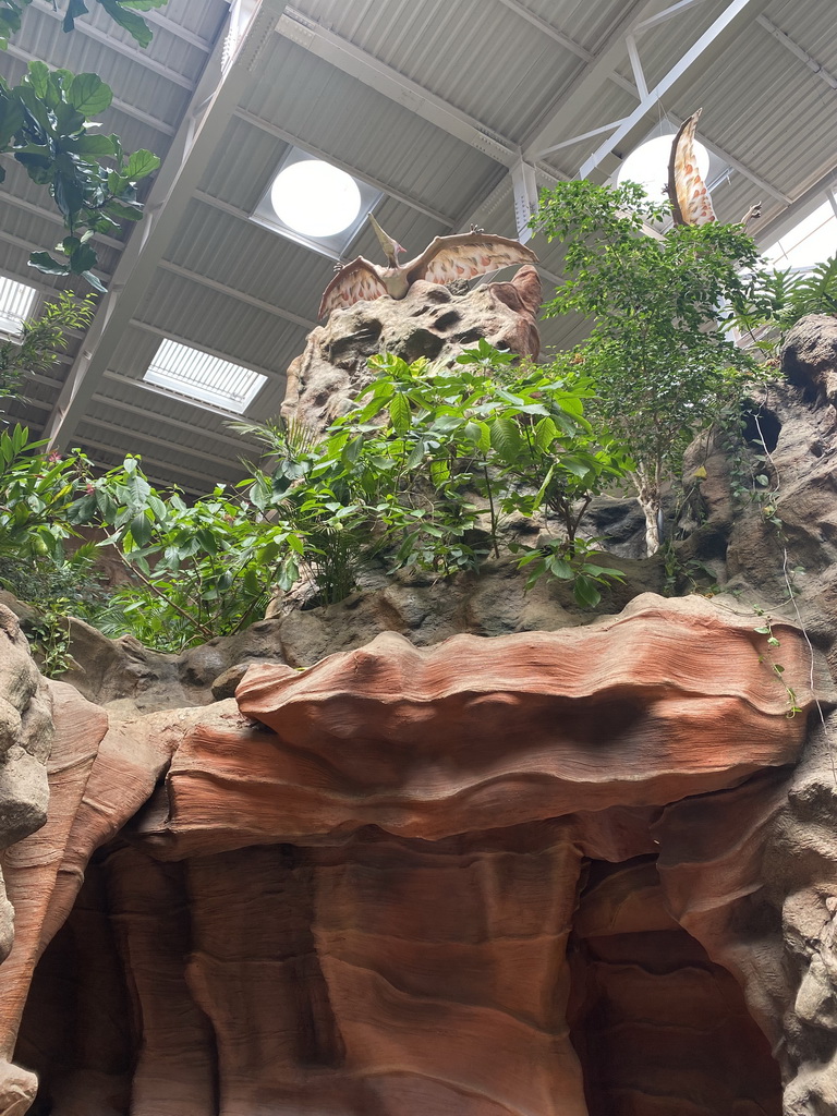 Rocks and plants in the lobby of the Poema del Mar Aquarium