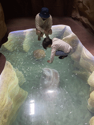 Miaomiao and Max with fishes under a glass floor at the lower floor of the Jungle area at the Poema del Mar Aquarium