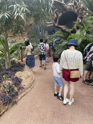 Miaomiao and Max at the upper floor of the Jungle area at the Poema del Mar Aquarium