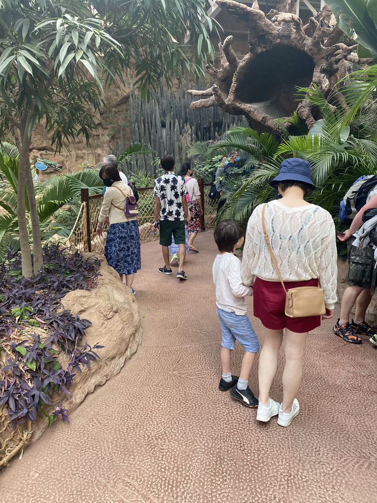 Miaomiao and Max at the upper floor of the Jungle area at the Poema del Mar Aquarium