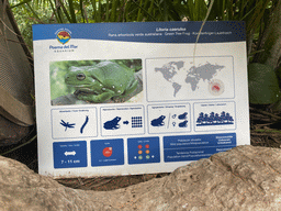 Explanation on the Green Tree Frog at the upper floor of the Jungle area at the Poema del Mar Aquarium