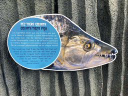 Information on the Goliath Tiger Fish at the upper floor of the Jungle area at the Poema del Mar Aquarium