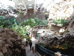 The middle floor of the Jungle area at the Poema del Mar Aquarium, viewed from the upper floor
