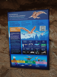 Information on the Pterodactylus at the upper floor of the Jungle area at the Poema del Mar Aquarium