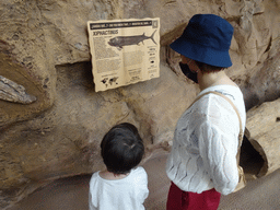 Miaomiao and Max with information on the Xiphactinus at the upper floor of the Jungle area at the Poema del Mar Aquarium