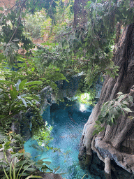 Lower floor of the Jungle area at the Poema del Mar Aquarium, viewed from the middle floor