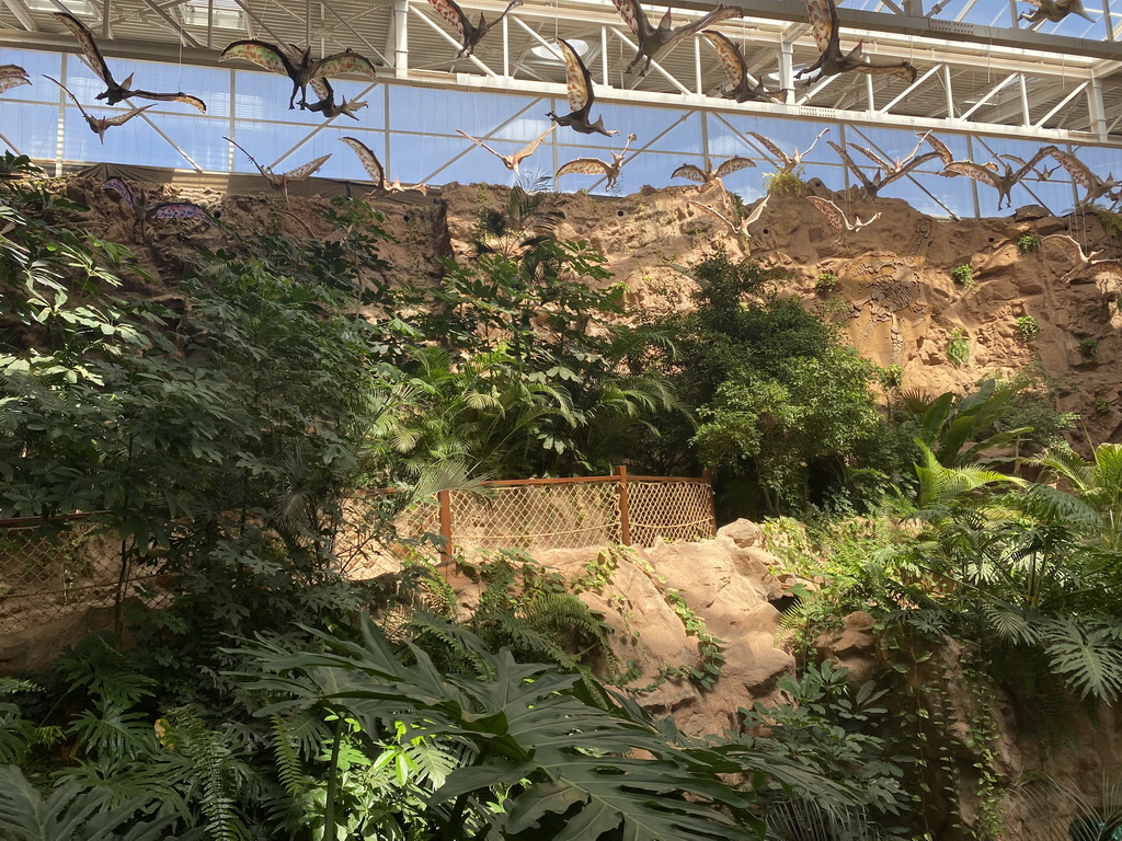 Walkway at the middle floor of the Jungle area at the Poema del Mar Aquarium