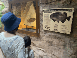 Miaomiao and Max with a Phareodus fossil at the middle floor of the Jungle area at the Poema del Mar Aquarium, with explanation