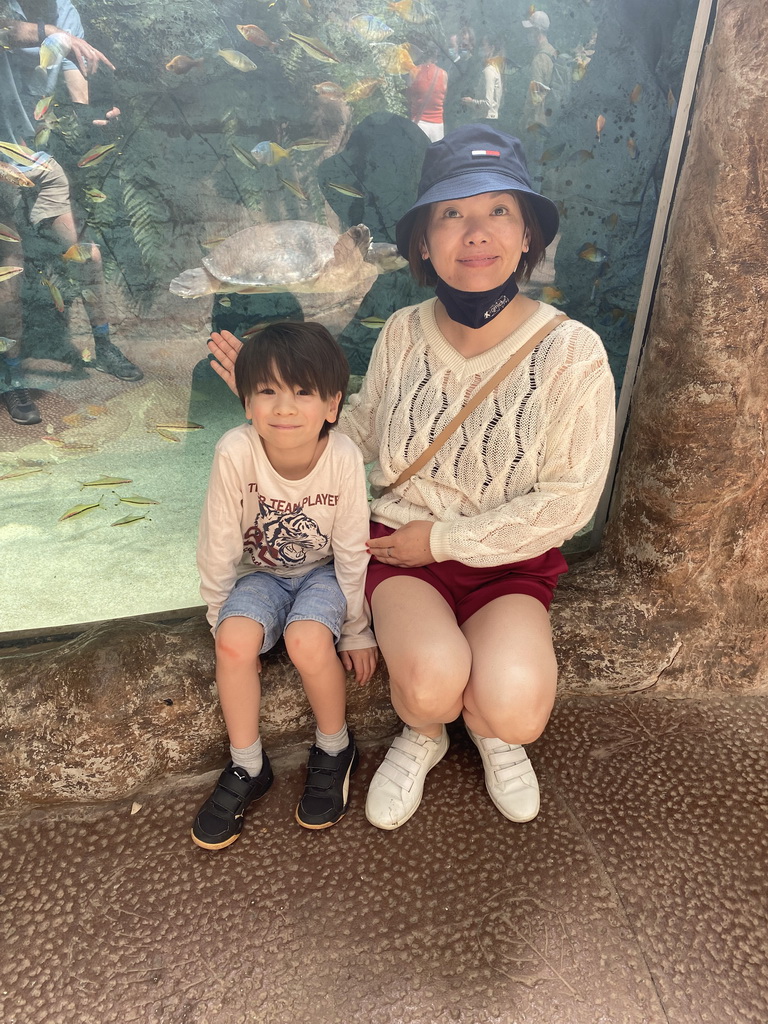 Miaomiao and Max with Pig-nosed Turtle and fishes at the middle floor of the Jungle area at the Poema del Mar Aquarium