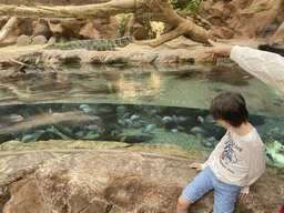 Miaomiao and Max with Siamese Crocodiles and fishes at the middle floor of the Jungle area at the Poema del Mar Aquarium