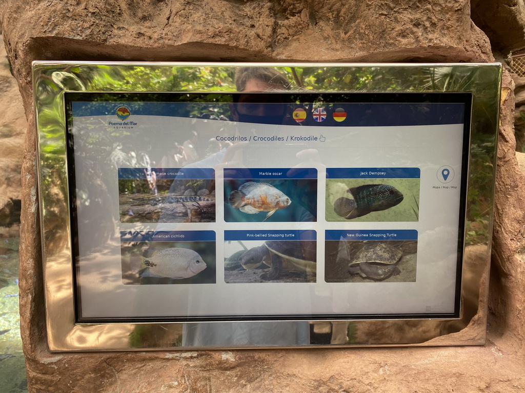 Explanation on the Siamese Crocodile, Marble Oscar, Jack Dempsey, American Cichlids, Pink-bellied Snapping Turtle and New Guinea Snapping Turtle at the middle floor of the Jungle area at the Poema del Mar Aquarium