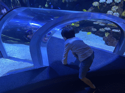 Max in a glass tunnel at the Nemo Kids area at the middle floor of the Beach Area at the Poema del Mar Aquarium