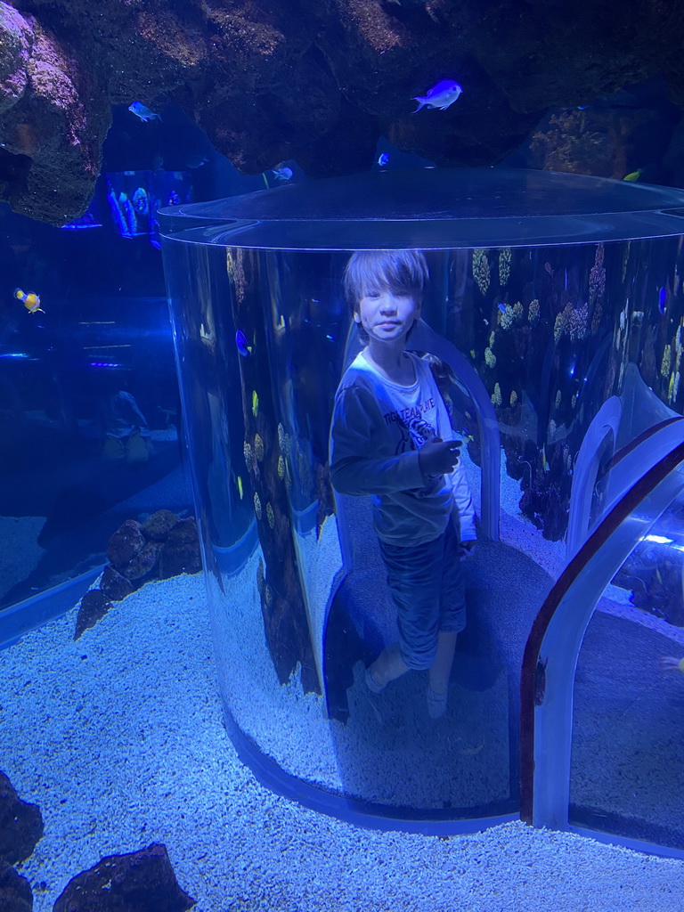 Max in a glass tunnel at the Nemo Kids area at the middle floor of the Beach Area at the Poema del Mar Aquarium