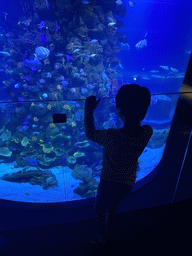 Max with the Atoll aquarium at the middle floor of the Beach Area at the Poema del Mar Aquarium