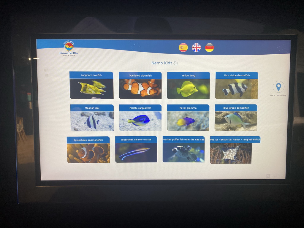 Explanation on the Longhorn Cowfish, Ocellated Clownfish, Yellow Tang, Four Stripe Damselfish, Moorish Idol, Palette Surgeonfish, Royal Gramma, Blue Green Damselfish, Spinecheek Anemonefish, Bluestreak Cleaner Wrasse, Masked Puffer Fish from the Red Sea and Bristle-tail Filefish at the Nemo Kids area at the middle floor of the Beach Area at the Poema del Mar Aquarium