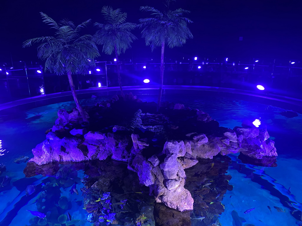 Top of the Atoll aquarium at the upper floor of the Beach Area at the Poema del Mar Aquarium