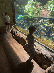 Miaomiao and Max with fishes at the Mangrove area at the upper floor of the Beach Area at the Poema del Mar Aquarium