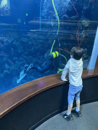 Max looking at a diver at the underwater tunnel at the upper floor of the Deep Sea Area at the Poema del Mar Aquarium