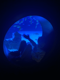 Max with fishes at the upper floor of the Deep Sea Area at the Poema del Mar Aquarium