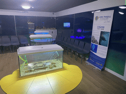Interior of the Loro Parque Foundation room at the lower floor of the Deep Sea Area at the Poema del Mar Aquarium