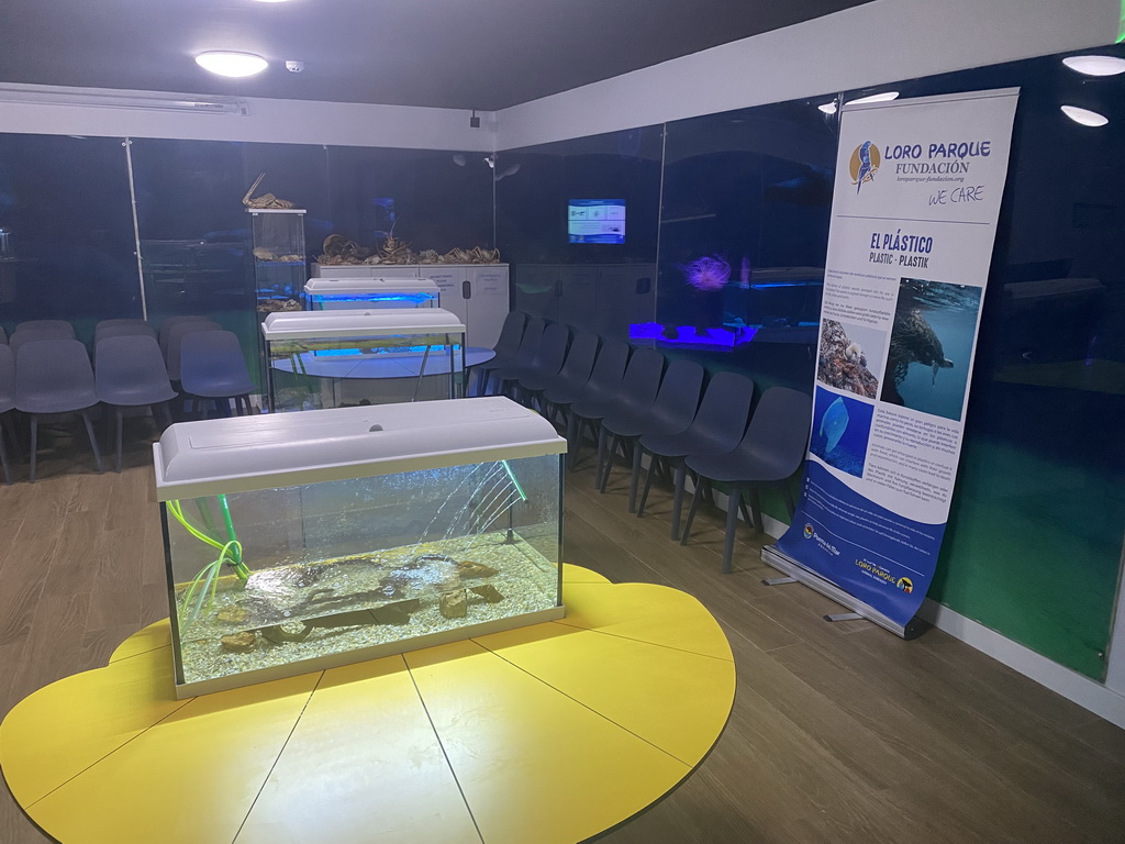 Interior of the Loro Parque Foundation room at the lower floor of the Deep Sea Area at the Poema del Mar Aquarium