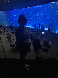 Miaomiao and Max at the Large Curved Glass Wall at the lower floor of the Deep Sea Area at the Poema del Mar Aquarium