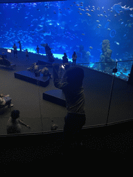 Max at the Large Curved Glass Wall at the lower floor of the Deep Sea Area at the Poema del Mar Aquarium