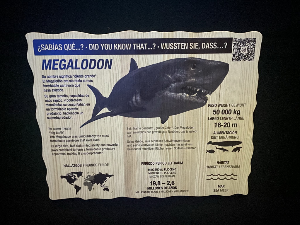 Explanation on the Megalodon at the lower floor of the Deep Sea Area at the Poema del Mar Aquarium