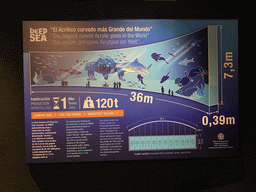 Information on the Large Curved Glass Wall at the lower floor of the Deep Sea Area at the Poema del Mar Aquarium