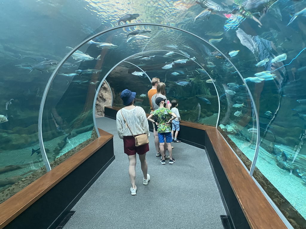 Miaomiao and Max at the underwater tunnel at the lower floor of the Jungle Area at the Poema del Mar Aquarium