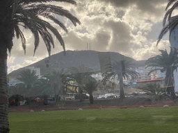 Palm trees at the Parque de San José park and the hill with the Mirador del Lasso viewing point, viewed from the bus to Maspalomas on the GC-1 road