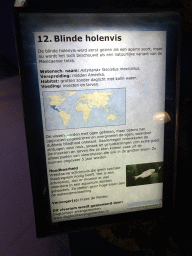 Explanation on the Blind Cave Fish at the AquaZoo Leerdam