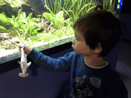 Max with a Hammerhead Shark toy at the AquaZoo Leerdam