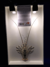 Exoskeleton of the Ornate Spiny Lobster at the AquaZoo Leerdam, with explanation