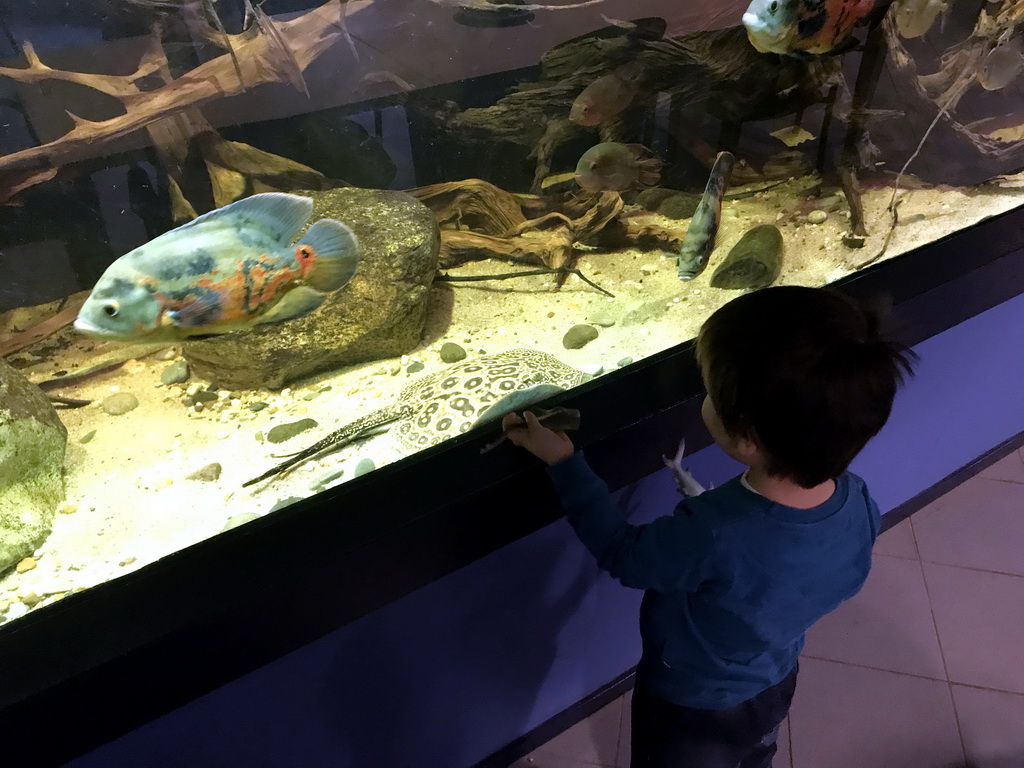 Max with a Stingray toy and a Hammerhead Shark toy and fish at the AquaZoo Leerdam