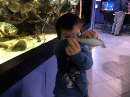 Max with a Hammerhead Shark toy and fish at the AquaZoo Leerdam