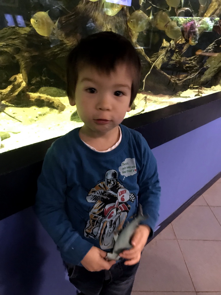 Max with a Hammerhead Shark toy and fish at the AquaZoo Leerdam