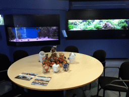 Table at the AquaZoo Leerdam