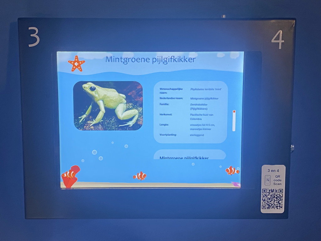 Explanation on the Terrible Dart Frog at the AquaZoo Leerdam